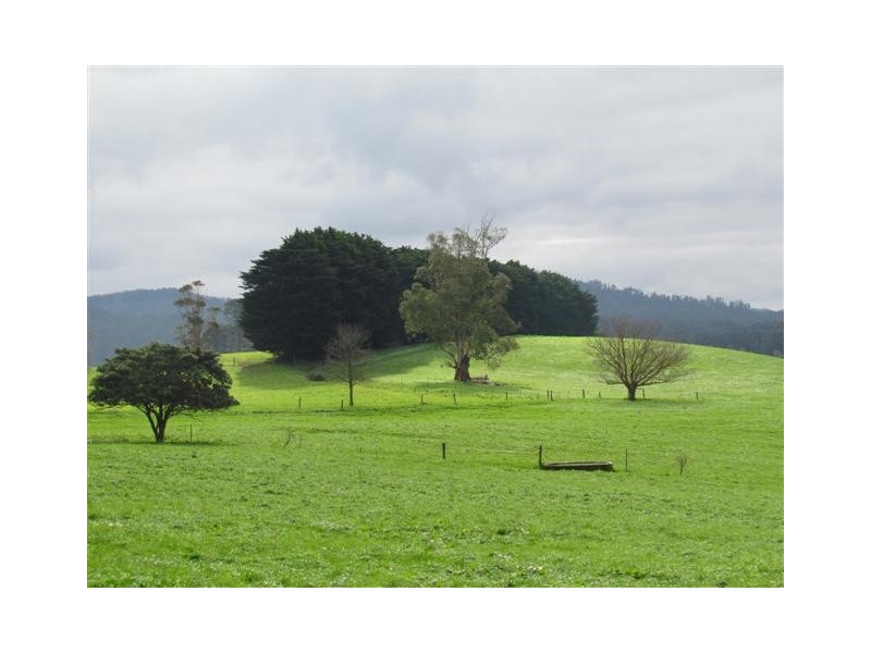 438 West Jindivick Road, Jindivick VIC 3818