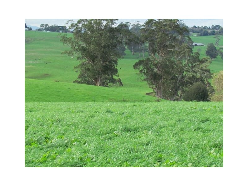 438 West Jindivick Road, Jindivick VIC 3818