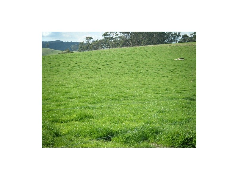 595 Woorarra Rd, Welshpool VIC 3966