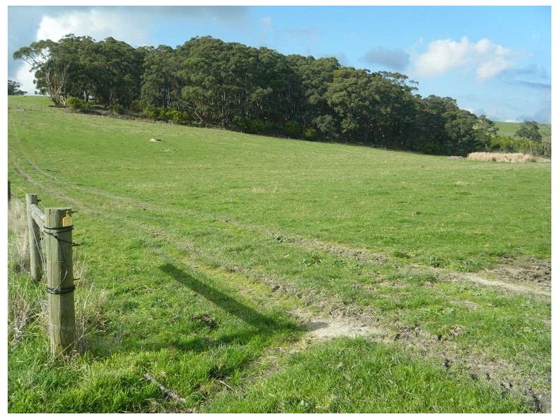 595 Woorarra Rd, Welshpool VIC 3966