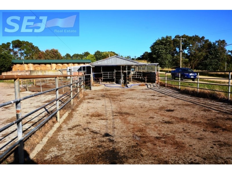 10 Gouldens Rd, Binginwarri VIC 3966