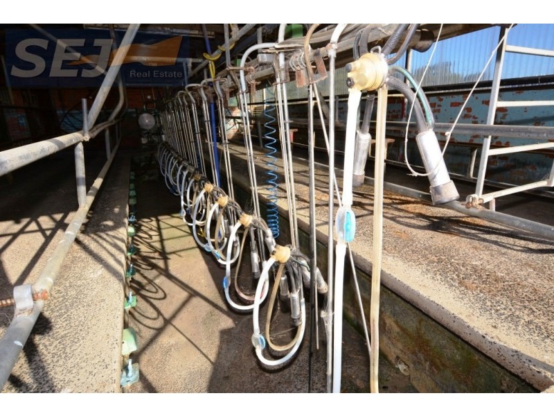 10 Gouldens Rd, Binginwarri VIC 3966