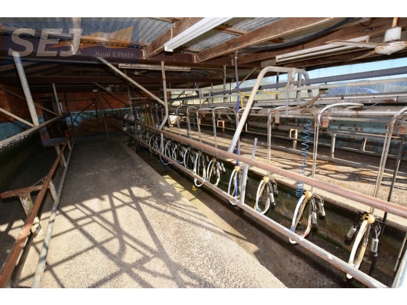 10 Gouldens Rd, Binginwarri VIC 3966