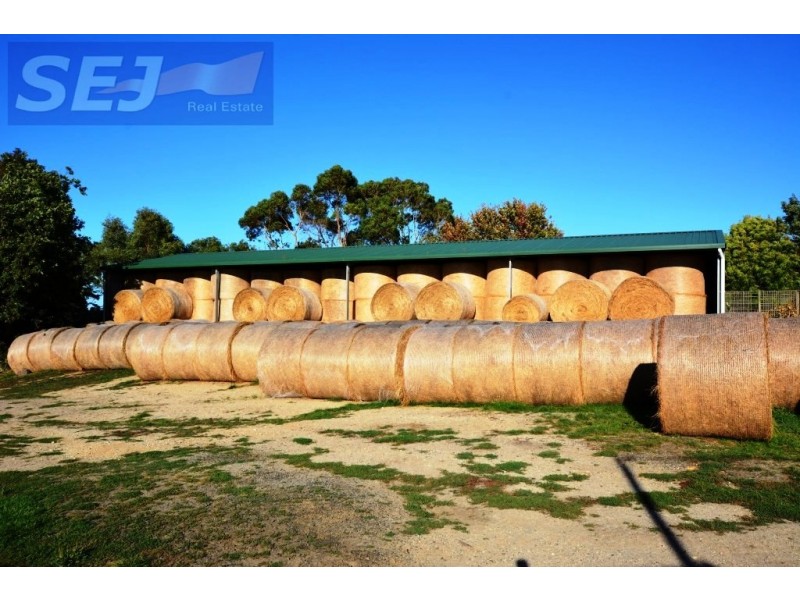 10 Gouldens Rd, Binginwarri VIC 3966