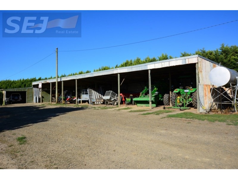 10 Gouldens Rd, Binginwarri VIC 3966