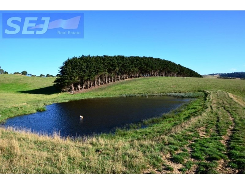 10 Gouldens Rd, Binginwarri VIC 3966