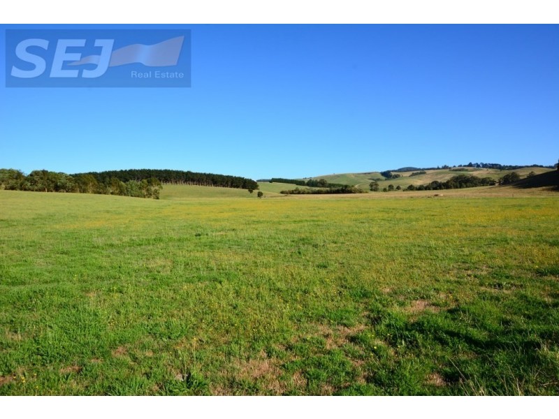 10 Gouldens Rd, Binginwarri VIC 3966