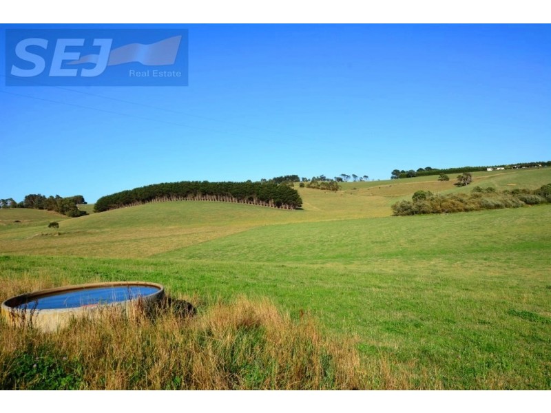 10 Gouldens Rd, Binginwarri VIC 3966