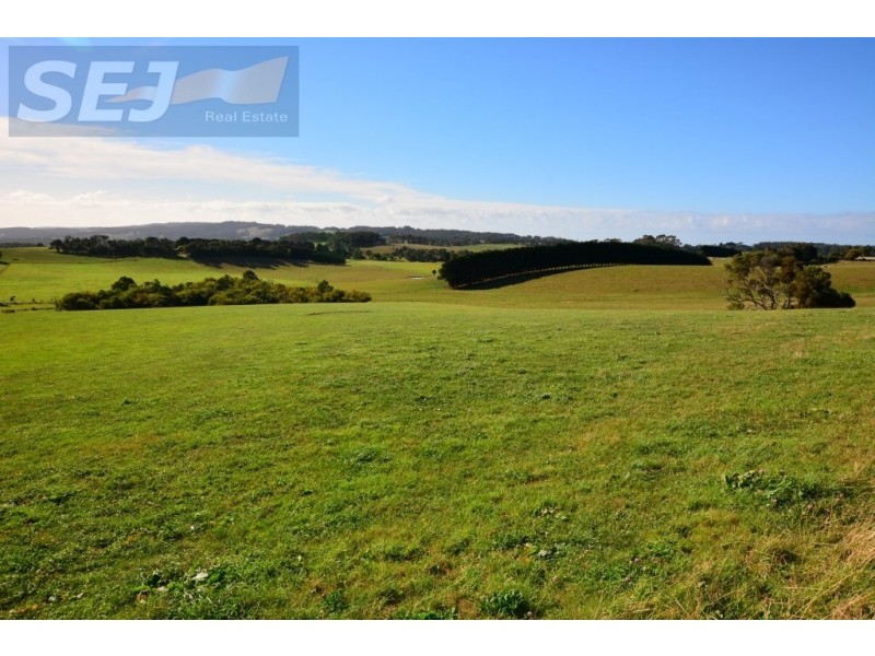 10 Gouldens Rd, Binginwarri VIC 3966