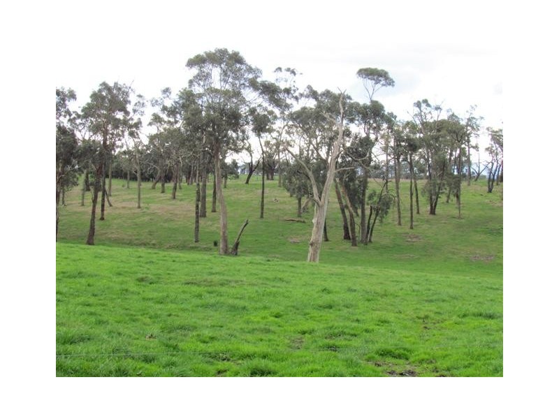 34 Gibson Brothers Road, Trafalgar VIC 3824