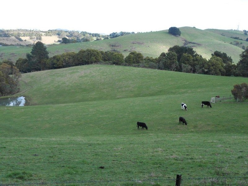 885 Ameys Track, Foster VIC 3960
