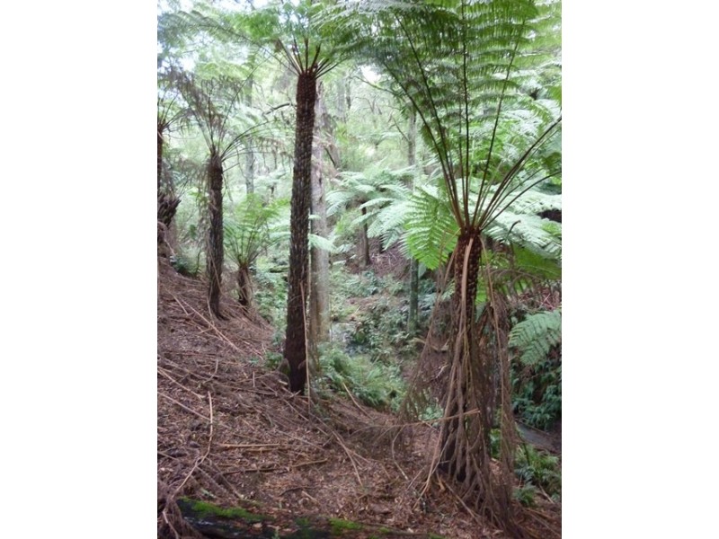 885 Ameys Track, Foster VIC 3960