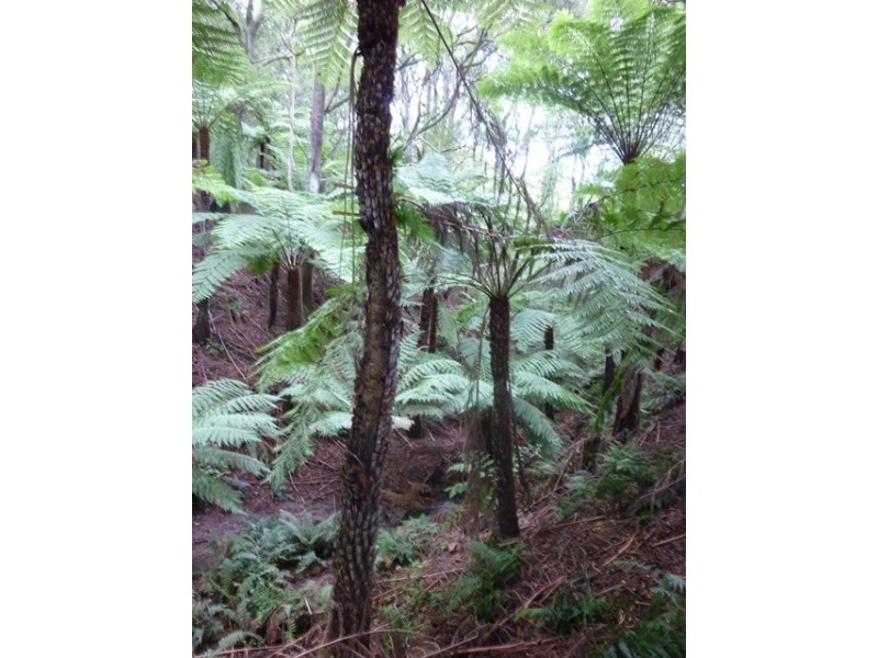 885 Ameys Track, Foster VIC 3960