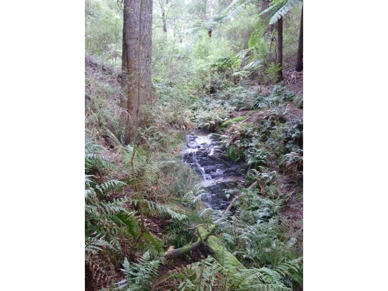 885 Ameys Track, Foster VIC 3960