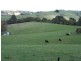 885 Ameys Track, Foster VIC 3960