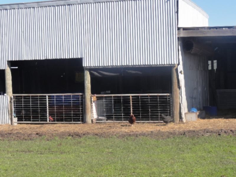 172 Port Welshpool Rd, Welshpool VIC 3966