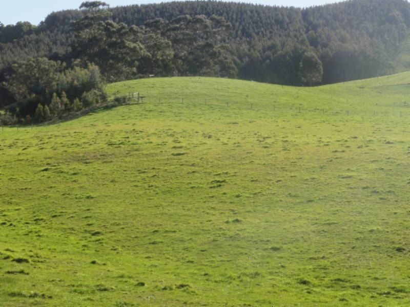 Lot 1 Coopers Rd, Foster VIC 3960