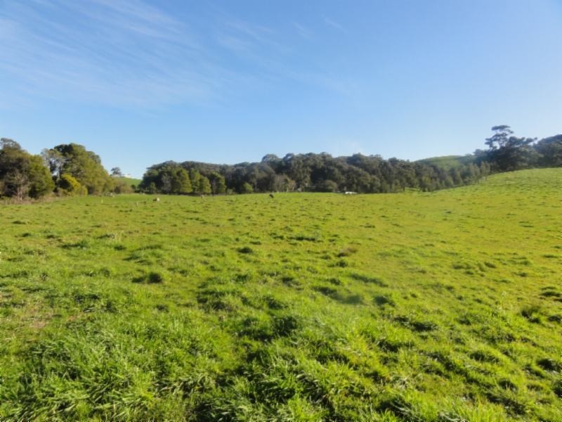 Lot 1 Coopers Rd, Foster VIC 3960