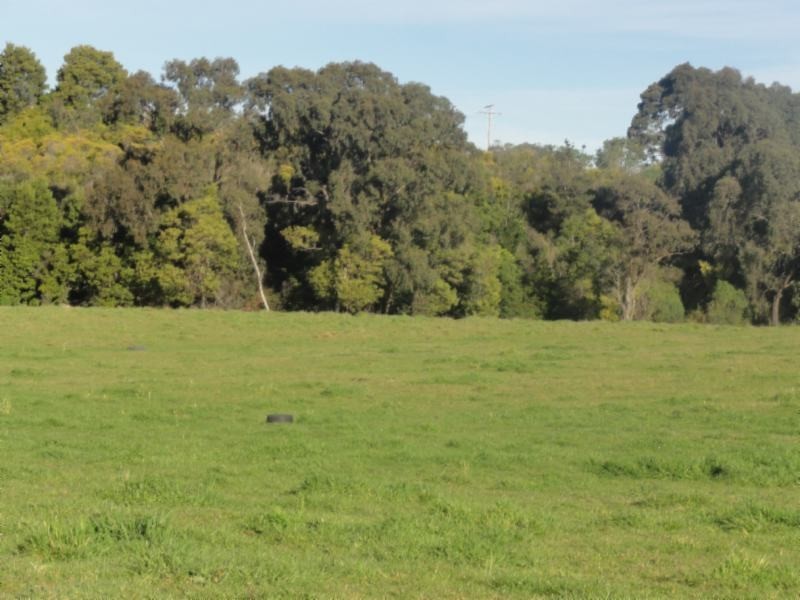 Lot 2 Gibb St, Foster VIC 3960