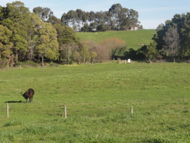 Lot 2 Gibb St, Foster VIC 3960