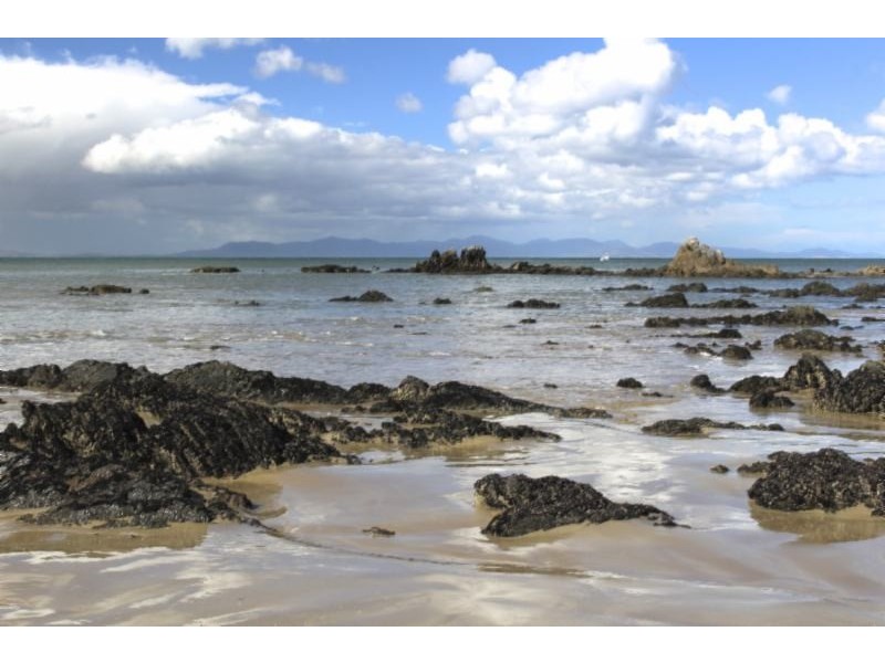 17 Waratah St, Walkerville VIC 3956