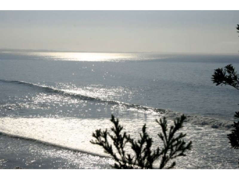 17 Waratah St, Walkerville VIC 3956