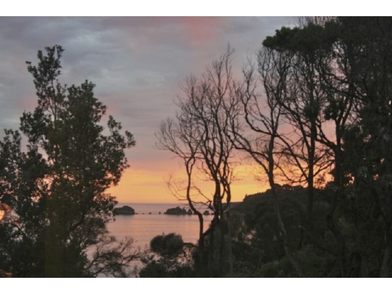 17 Waratah St, Walkerville VIC 3956