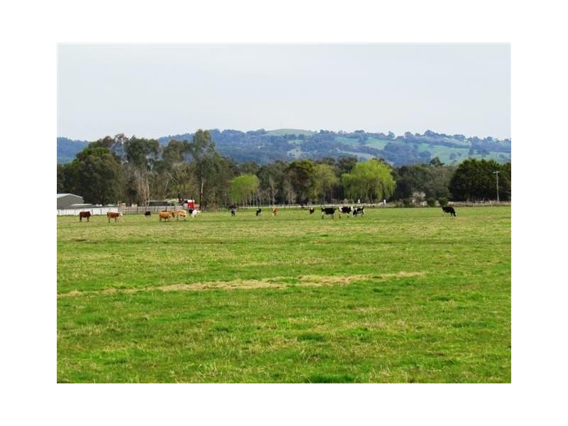 Seven Mile Road, Trafalgar VIC 3824