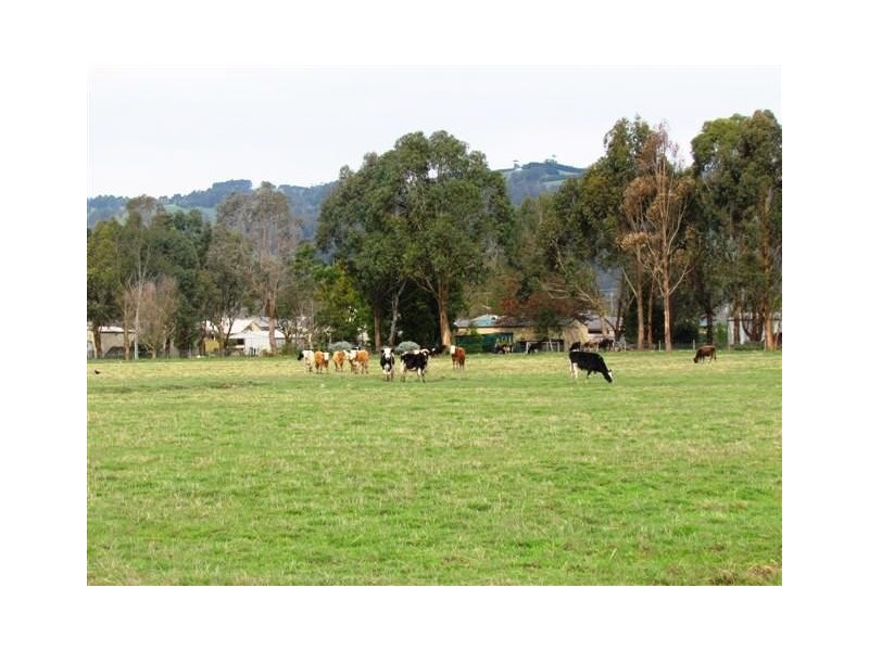 Seven Mile Road, Trafalgar VIC 3824