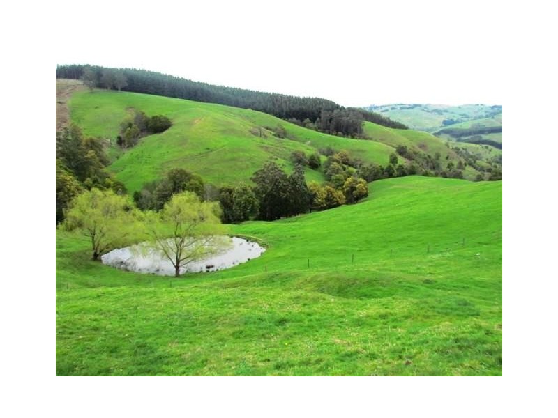 117 Allmans Road, Trida VIC 3953