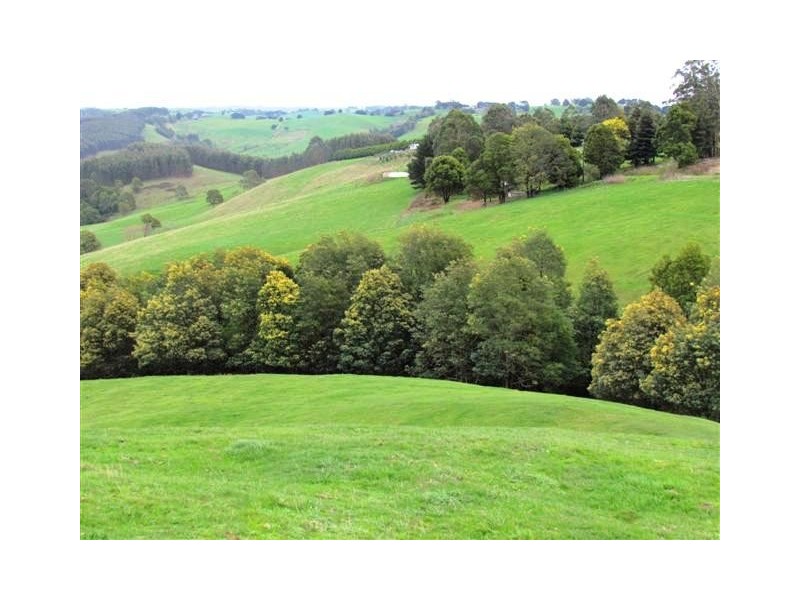 117 Allmans Road, Trida VIC 3953