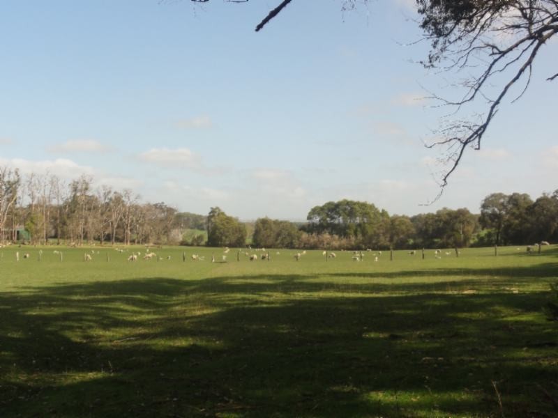 160 Maddisons Rd, Stony Creek VIC 3957