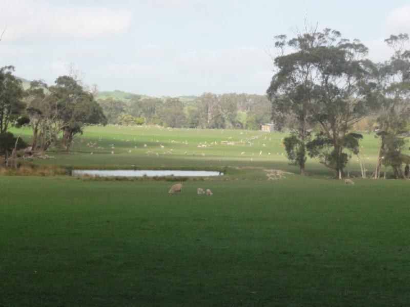 160 Maddisons Rd, Stony Creek VIC 3957