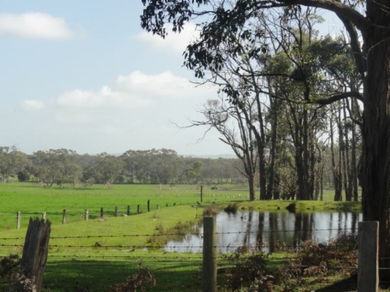 160 Maddisons Rd, Stony Creek VIC 3957