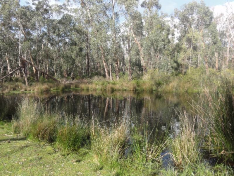 160 Maddisons Rd, Stony Creek VIC 3957