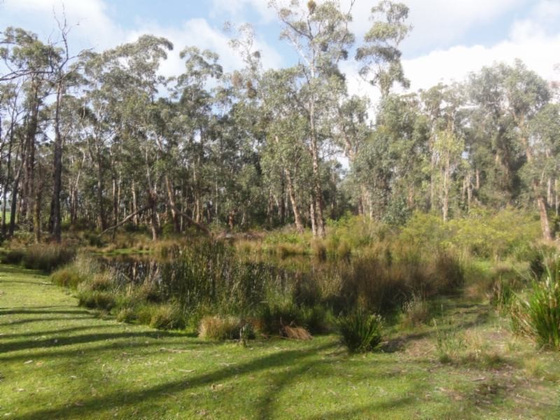 160 Maddisons Rd, Stony Creek VIC 3957