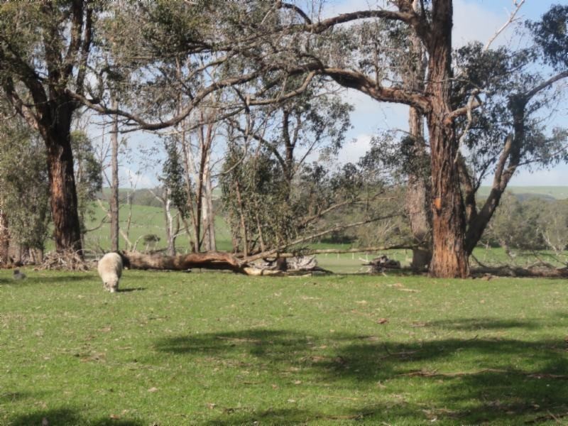 160 Maddisons Rd, Stony Creek VIC 3957