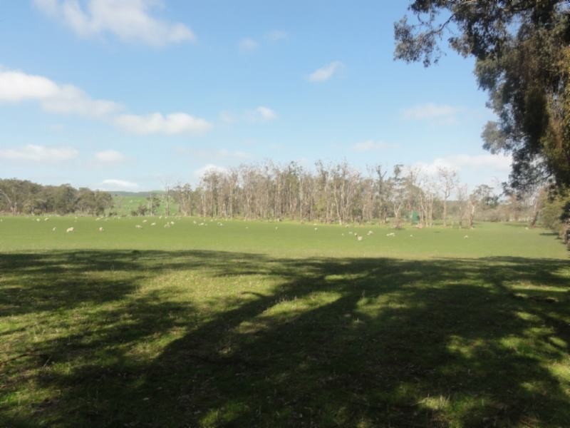 160 Maddisons Rd, Stony Creek VIC 3957