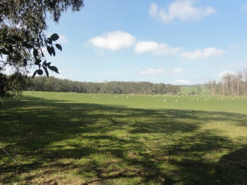 160 Maddisons Rd, Stony Creek VIC 3957