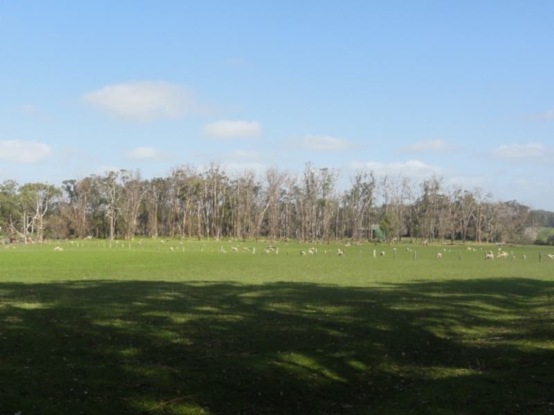 160 Maddisons Rd, Stony Creek VIC 3957