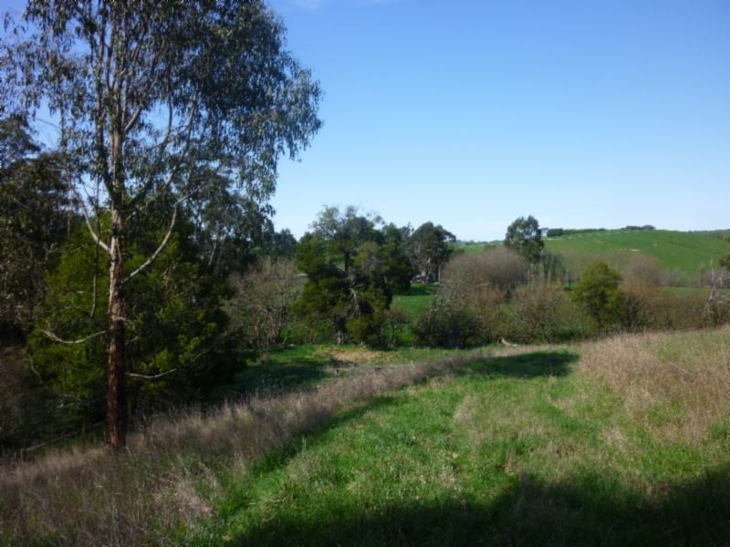 20 Clear Creek Rd, Mirboo North VIC 3871