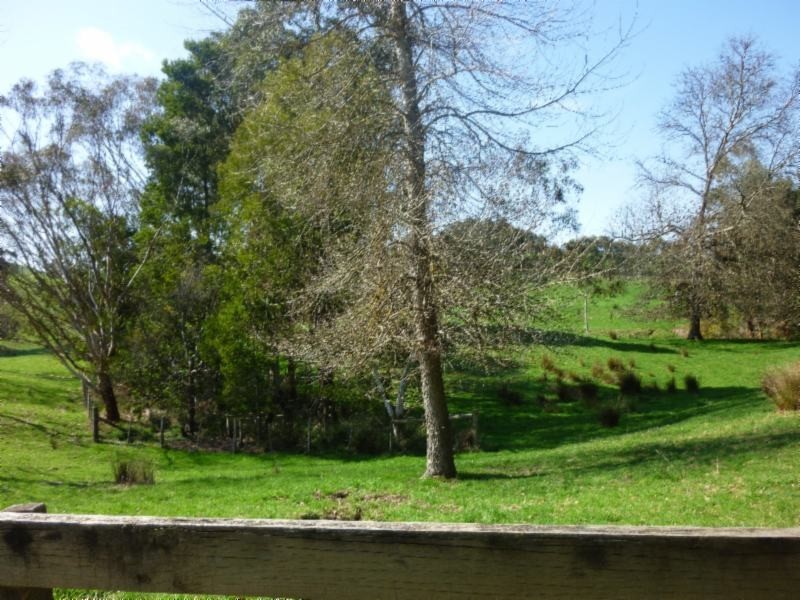 20 Clear Creek Rd, Mirboo North VIC 3871