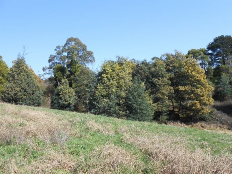 409 Mirboo Road, Mirboo VIC 3871