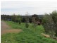 10 Becky Lane, Neerim South VIC 3831