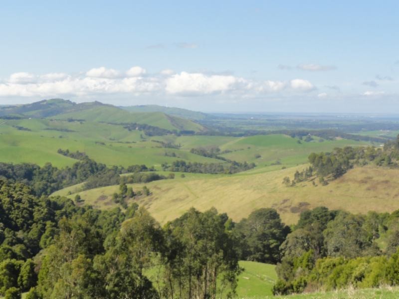 3337 South Gippsland Highway, Foster VIC 3960