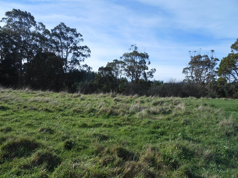 795 Boolarra Foster Rd, Foster VIC 3960