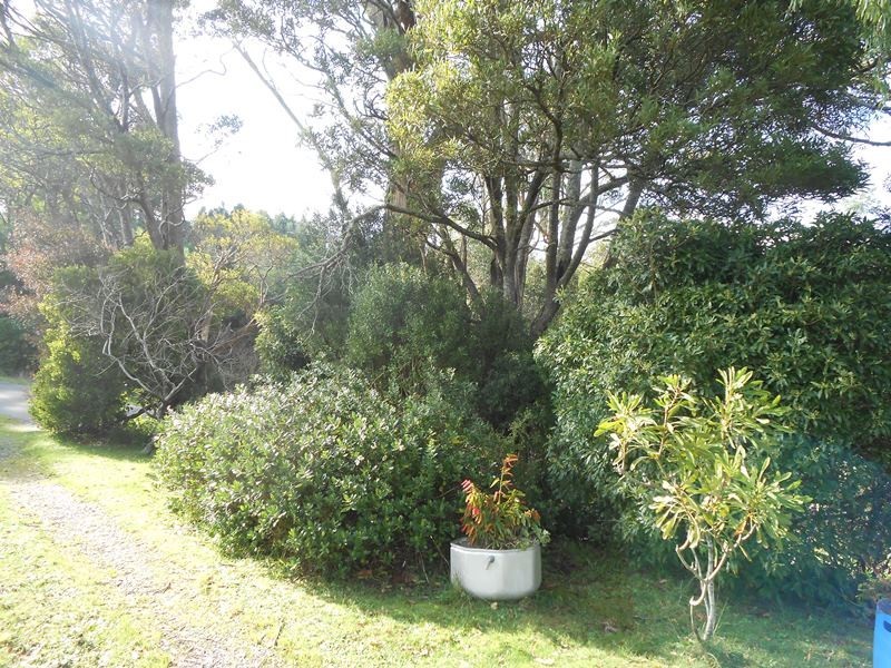 795 Boolarra Foster Rd, Foster VIC 3960
