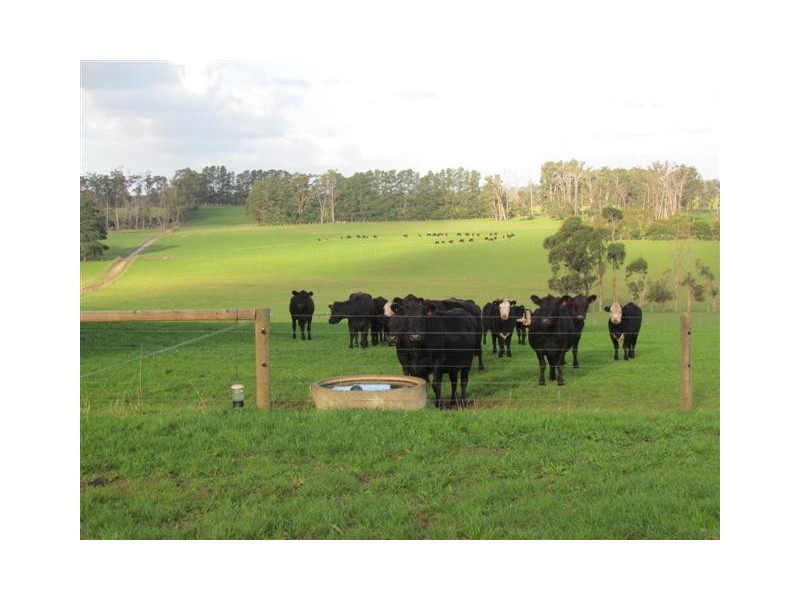 220 Stock Road, Drouin West VIC 3818