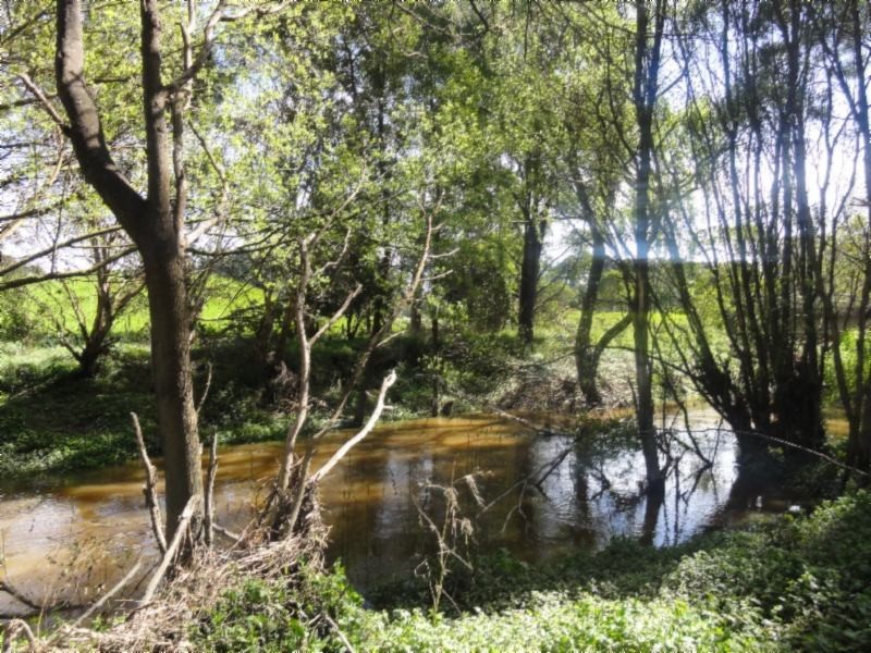 1676 Meeniyan Prom Rd, Fish Creek VIC 3959