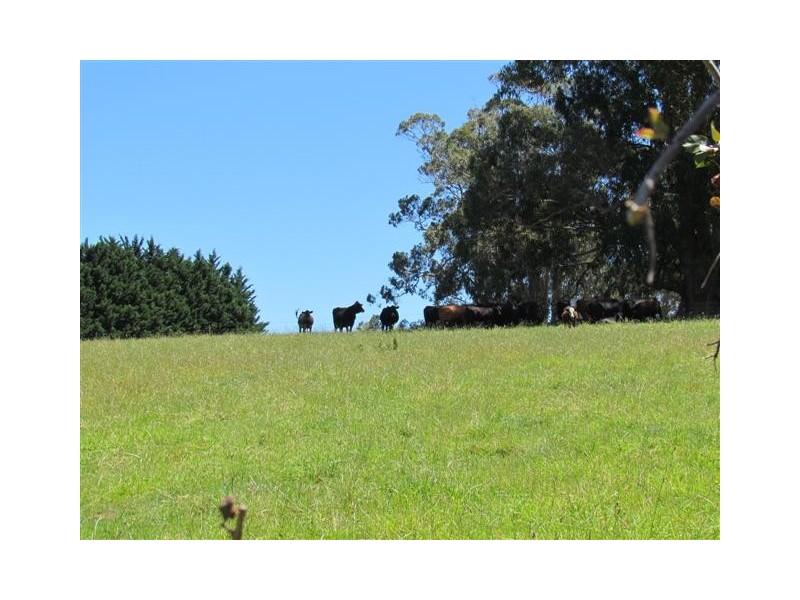 150 Sawyer Road, Neerim VIC 3831